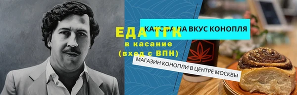 гашик Алексин