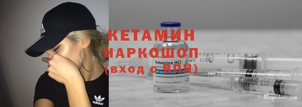 гашик Алексин