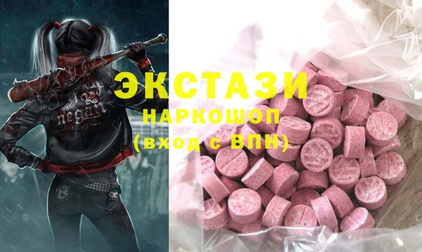 гашик Алексин