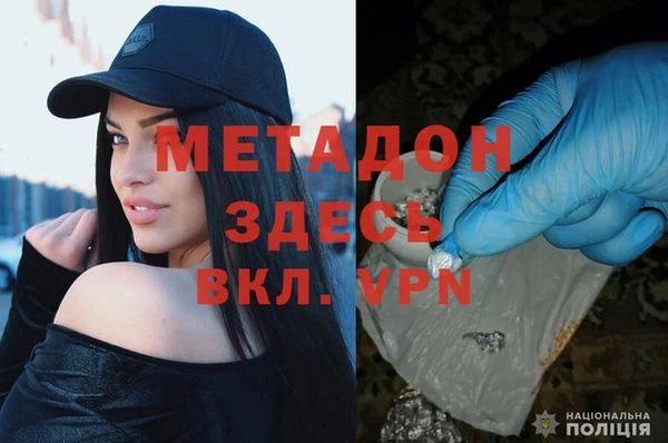 гашик Алексин